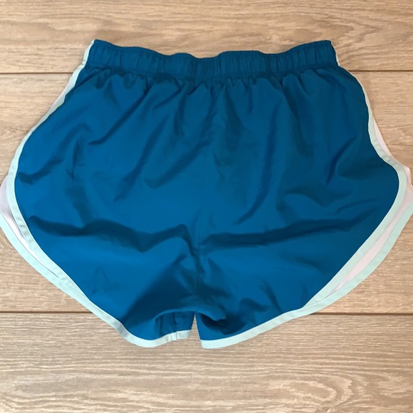 Nike Dri-Fit Blue and White Lined Running Shorts. Womens Size Medium - Picture 3 of 5